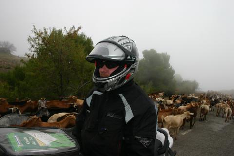 Bild 2 zur Urlaubsidee »Roadbooktouren in Andalusien«