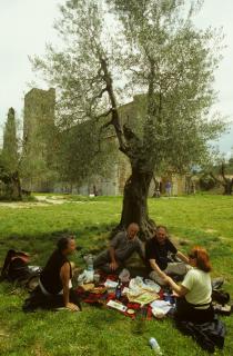 Bild 7 zur Urlaubsidee »Wein & Wandern in der südlichen Toskana - klingende Weinberge«