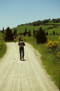 Bild 8 zur Urlaubsidee »Wein & Wandern in der südlichen Toskana - klingende Weinberge«