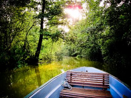 Bild 24 zur Urlaubsidee »Aktivurlaub im Bootshaus Goldberg an der Mildenitz«