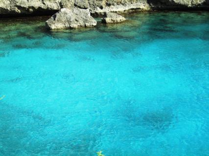 Bild 10 zur Urlaubsidee »Curacao Tauchreisen«