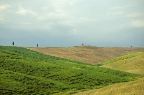 Bild 10 zur Urlaubsidee »Wein & Wandern in der südlichen Toskana - klingende Weinberge«