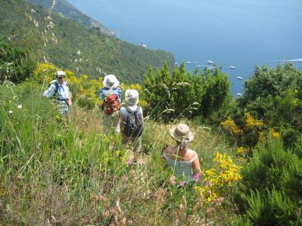 Bild 2 zur Urlaubsidee »Wandern & Wein in den Cinque Terre «