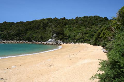 Bild 3 zur Urlaubsidee »Abel Tasman Nationalpark, Neuseeland«