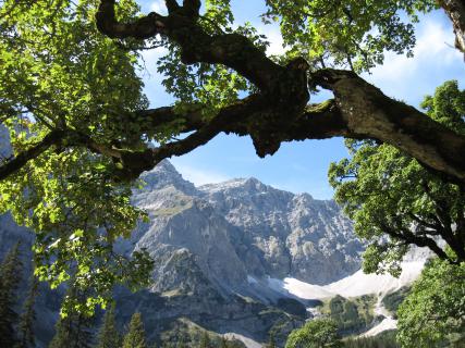 Bild 6 zur Urlaubsidee »Fasten mit Bergwandern und Naturerleben«