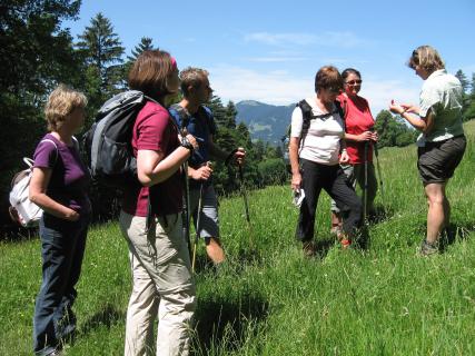 Bild 1 zur Urlaubsidee »Basenkur: kochen - bewegen - entspannen - abnehmen«