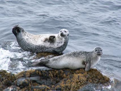 Bild 3 zur Urlaubsidee »8-tägige Island-Rundreise«