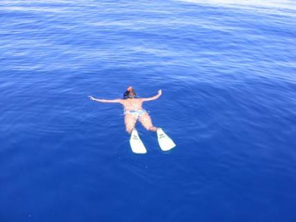 Bild 3 zur Urlaubsidee »Schwimmen mit Delfinen - Pico (Azoren)«