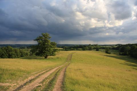 Bild 1 zur Urlaubsidee »Wandern in Mecklenburg-Vorpommern«