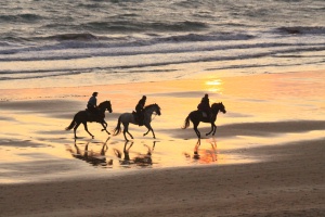 Bild 11 zur Urlaubsidee »Für Pferdebegeisterte: Erlebnisreiten in Andalusien«