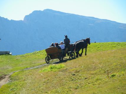 Bild 8 zur Urlaubsidee »"Literatur am Kamin" auf der Seiser Alm«
