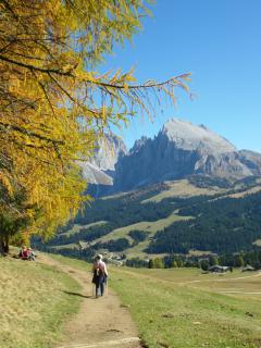 Bild 9 zur Urlaubsidee »"Literatur am Kamin" auf der Seiser Alm«