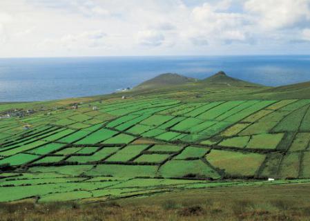 Bild 4 zur Urlaubsidee »Irland - Die grüne Insel«