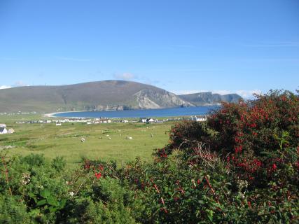 Bild 4 zur Urlaubsidee »Gesundheitsurlaub auf Achill Island / Irland!«