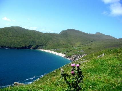 Bild 1 zur Urlaubsidee »Gesundheitsurlaub auf Achill Island / Irland!«