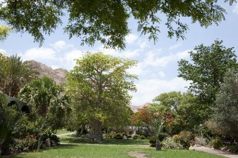 Bild 6 zur Urlaubsidee »ISRAEL - Wandern im gelobten Land«