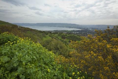 Bild 8 zur Urlaubsidee »ISRAEL - Wandern im gelobten Land«