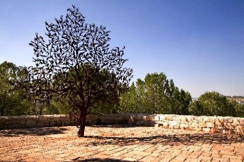 Bild 14 zur Urlaubsidee »ISRAEL - Begegnungen mit Israel und Palästina«