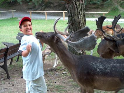 Bild 3 zur Urlaubsidee »1. Aktionstag Kunst & Tiere im Wild- und Freizeitpark Westerwald«
