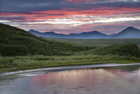 Bild 7 zur Urlaubsidee »Alaska Gruppenreise im umgebauten Schulbus«