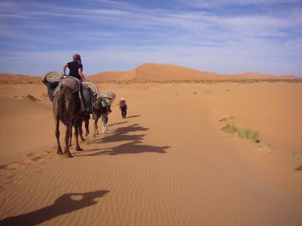 Bild 1 zur Urlaubsidee »Marokko - Wüstenreise - Marrakesch und Kamel-Trekking durch die Wüste zu den Erg-Chegaga-Dünen«