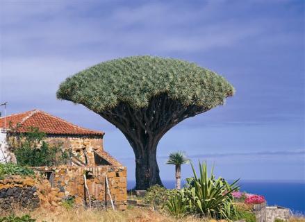 Bild 3 zur Urlaubsidee »Segeln um Teneriffa und La Gomera«