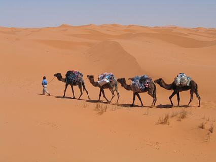 Bild 1 zur Urlaubsidee »Kameltrekking in der Sahara«