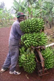 Bild 5 zur Urlaubsidee »Auf den Gipfel des Kilimanjaro & Safari – Eine Singlereise nach Afrika!«