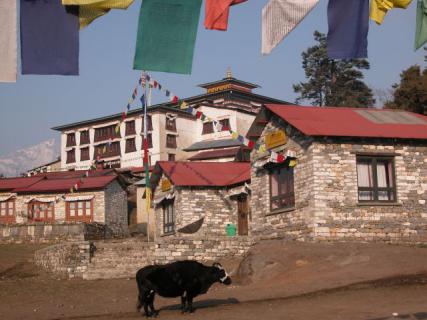 Bild 2 zur Urlaubsidee »Trekking in Nepal - Mount Everest Basislager / Kalapattar «