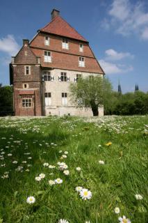 Bild 8 zur Urlaubsidee »Wanderexkursion in den Baumbergen - Erholung in der Gruppe und Kulturlandschaft kennenlernen«