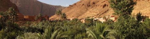 Bild 1 zur Urlaubsidee »Mystische Reise nach Marokko«