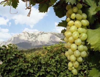Bild 2 zur Urlaubsidee »Ukraine/Krim: Kultur- & Weinreise "Schätze der Krim" ab/bis Frankfurt (8 Tage/7 Nächte)«