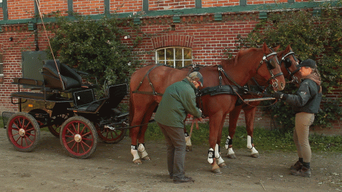 Bild 3 zur Urlaubsidee »Gespannfahren mit Noblesse in der Holsteinischen Schweiz«