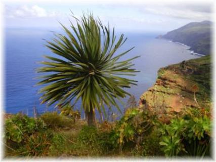 Bild 1 zur Urlaubsidee »Weihnachten auf La Palma«
