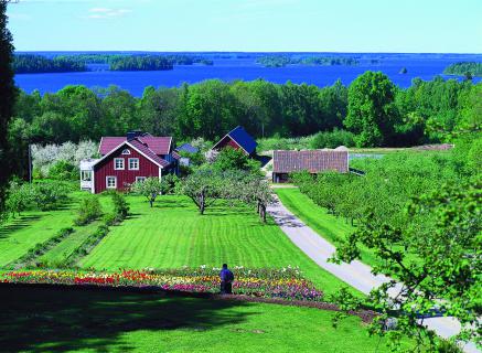 Bild 1 zur Urlaubsidee »Schweden mit eigenem Arzt entdecken«