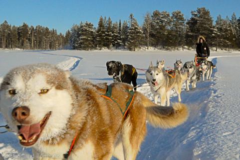 Bild 3 zur Urlaubsidee »11 Tage Lappland - Husky und Jokkmokk«