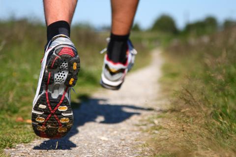 Bild 3 zur Urlaubsidee »Lauftraining an der Ostsee«