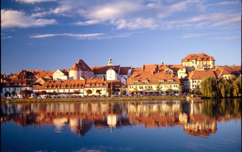 Bild 3 zur Urlaubsidee »Weinreise in die Steiermark - Weingenuss zwischen Tradition und Moderne (Juni 2012)«
