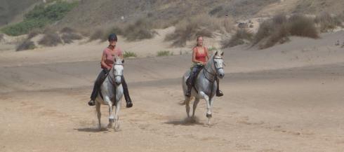 Bild 2 zur Urlaubsidee »,Andalusien,Strandritte,Reiturlaub,Reiten,costa de la luz,«
