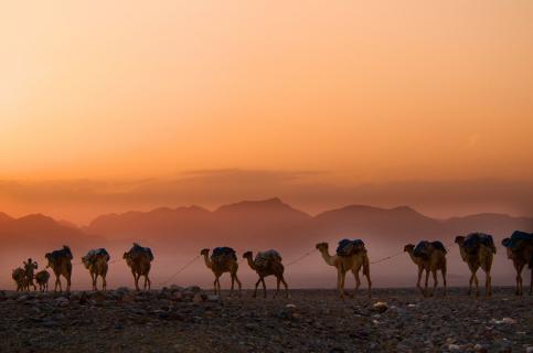 Bild 4 zur Urlaubsidee »Danakil - Vulkane im Herzen Afrikas«