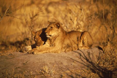 Bild 2 zur Urlaubsidee »Namibia Geo-Foto-Exkursion«