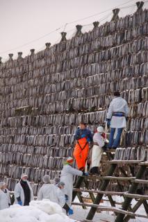 Bild 5 zur Urlaubsidee »Nordische Verführungen 01. März - 05. März 2012«