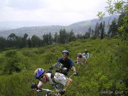 Bild 13 zur Urlaubsidee »Naturwanderungen und Mountainbiketouren auf San Jorge, Ecuador«