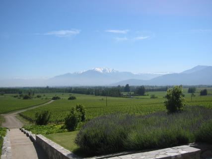 Bild 1 zur Urlaubsidee »Exklusive Wein & Kulinarkreise CHILE – ARGENTINIEN vom 08. - 19.01.2011«