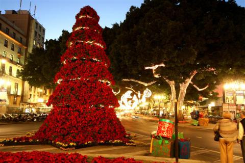 Bild 1 zur Urlaubsidee »Málaga –  Silvester feiern und günstig shoppen in der Geburtsstadt Picasso´s«