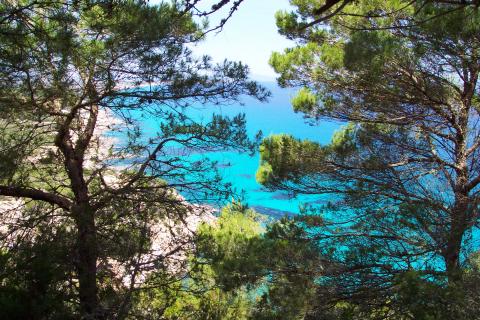 Bild 5 zur Urlaubsidee »Shaolin Personal Trainer-Ausbildung auf Mallorca«