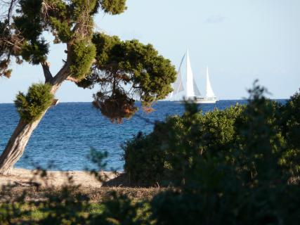 Bild 7 zur Urlaubsidee »Shaolin Personal Trainer-Ausbildung auf Mallorca«