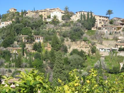 Bild 4 zur Urlaubsidee »MALLORCA, mal(lle) ganz anders für SINGLES«