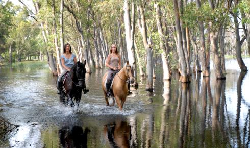 Bild 1 zur Urlaubsidee »,Andalusien,Strandritte,Reiturlaub,Reiten,costa de la luz,«