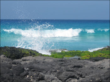Bild 7 zur Urlaubsidee »Spirituelle Reise nach Hawaii - Healing Retreat mit Delfin Schwimmen auf Big Island«